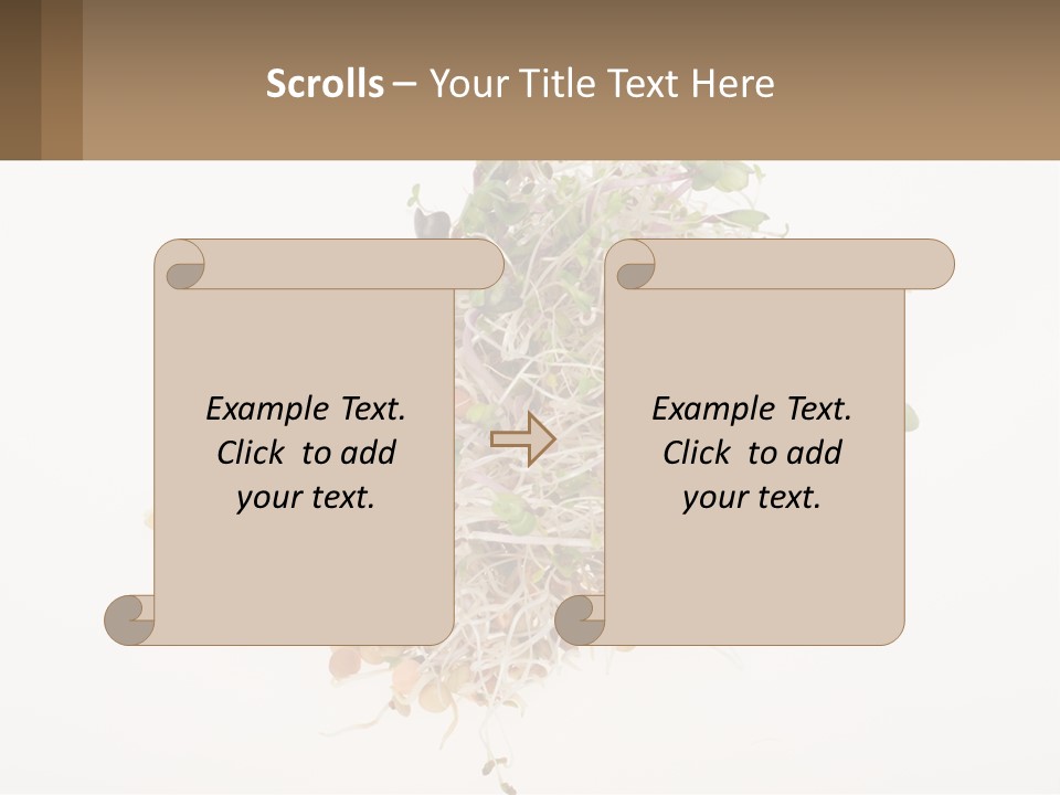 A Pile Of Alfalfa Sprouts On A White Background PowerPoint Template