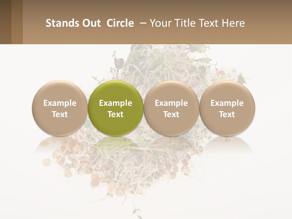 A Pile Of Alfalfa Sprouts On A White Background PowerPoint Template