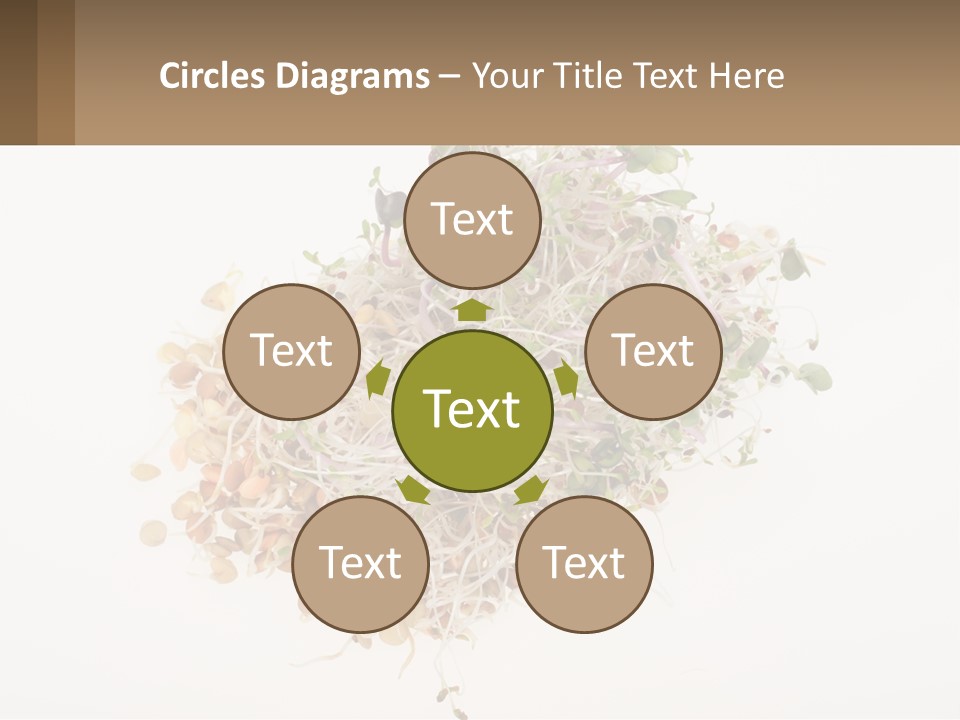 A Pile Of Alfalfa Sprouts On A White Background PowerPoint Template