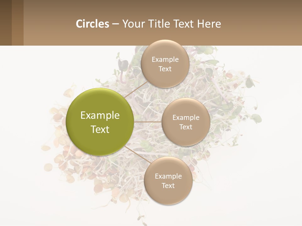 A Pile Of Alfalfa Sprouts On A White Background PowerPoint Template