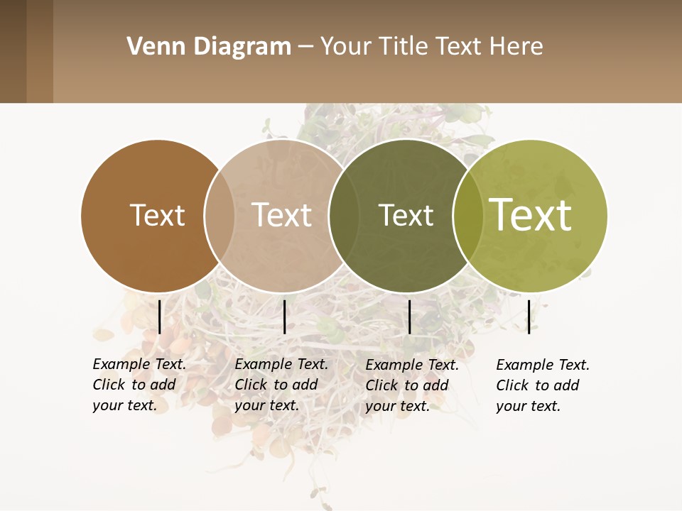 A Pile Of Alfalfa Sprouts On A White Background PowerPoint Template