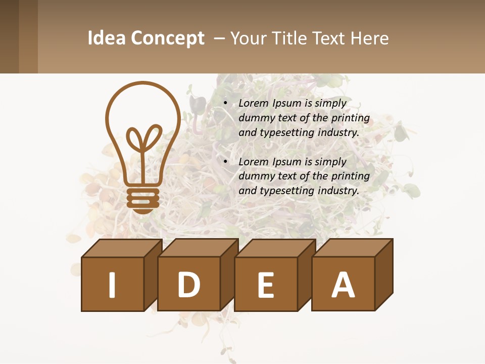 A Pile Of Alfalfa Sprouts On A White Background PowerPoint Template