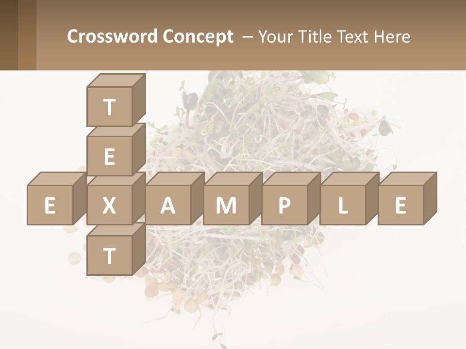 A Pile Of Alfalfa Sprouts On A White Background PowerPoint Template