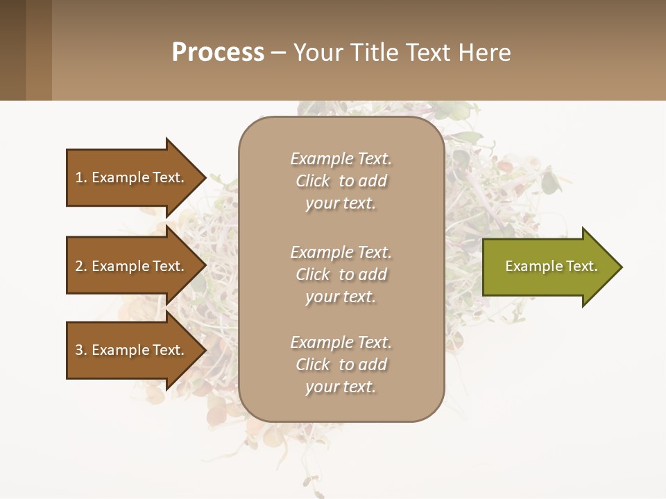 A Pile Of Alfalfa Sprouts On A White Background PowerPoint Template