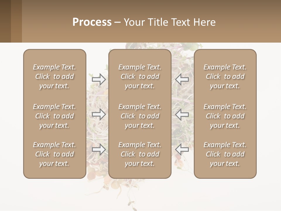 A Pile Of Alfalfa Sprouts On A White Background PowerPoint Template