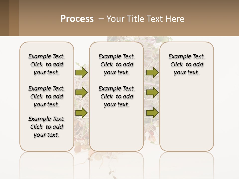A Pile Of Alfalfa Sprouts On A White Background PowerPoint Template