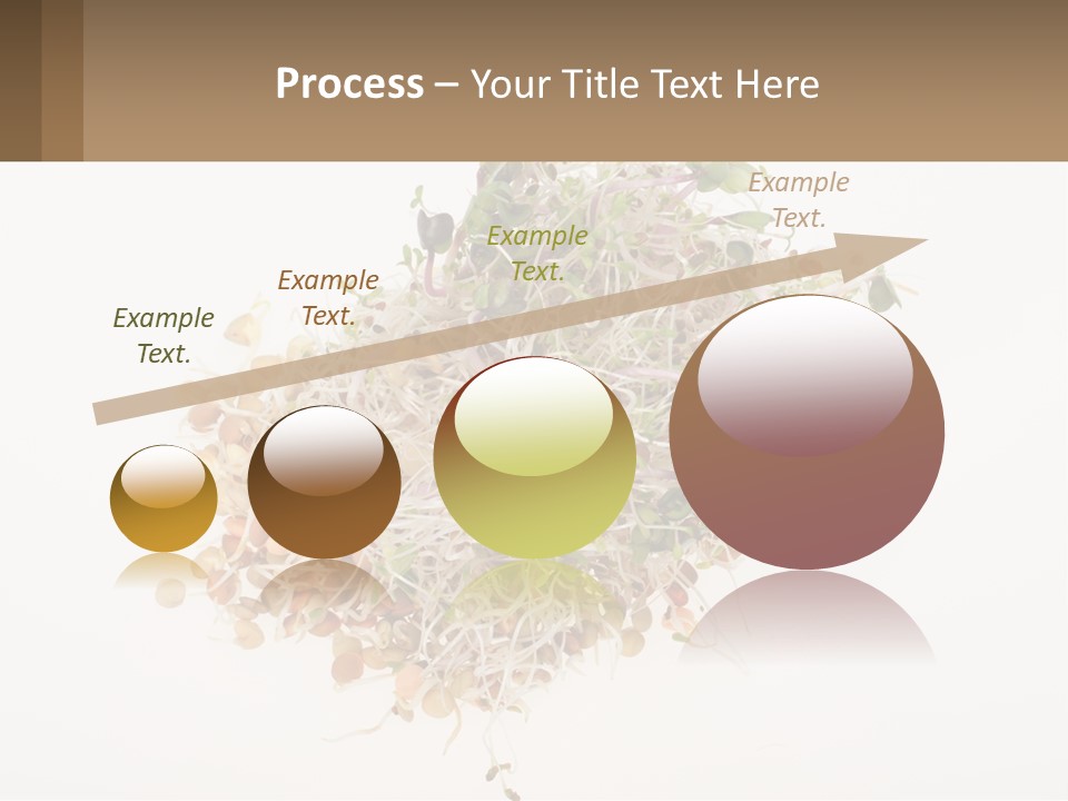 A Pile Of Alfalfa Sprouts On A White Background PowerPoint Template