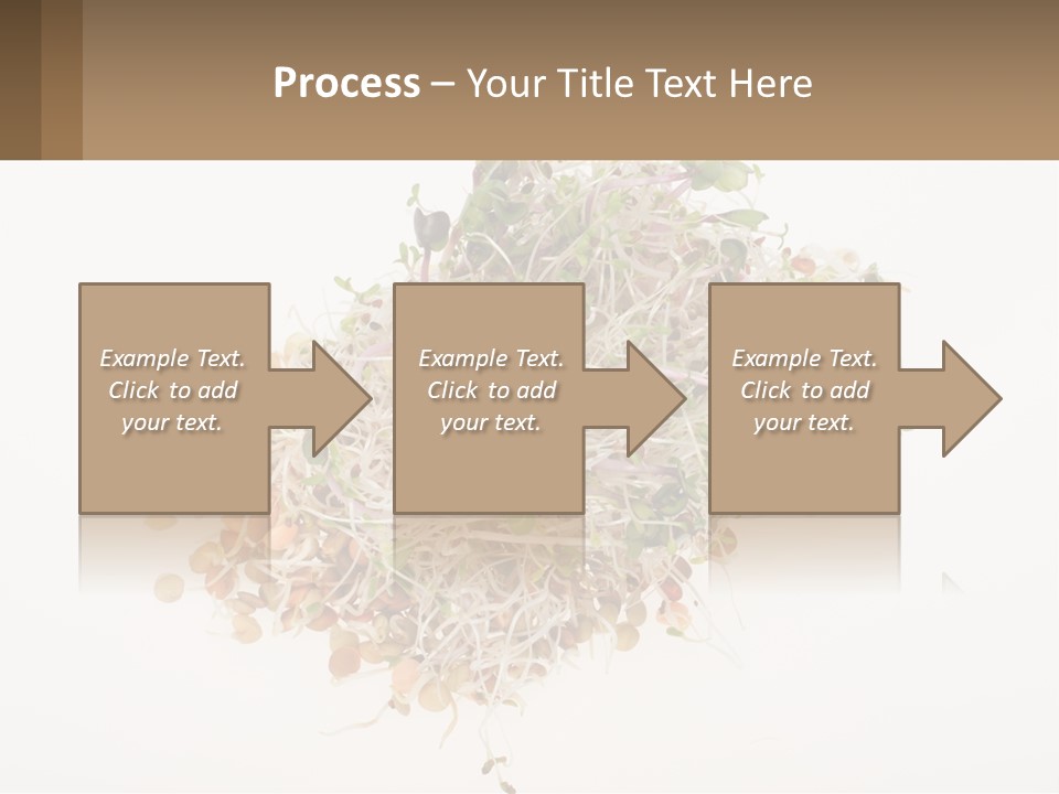 A Pile Of Alfalfa Sprouts On A White Background PowerPoint Template