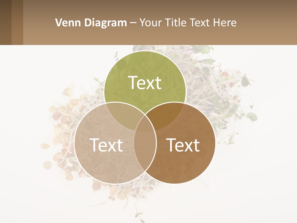 A Pile Of Alfalfa Sprouts On A White Background PowerPoint Template