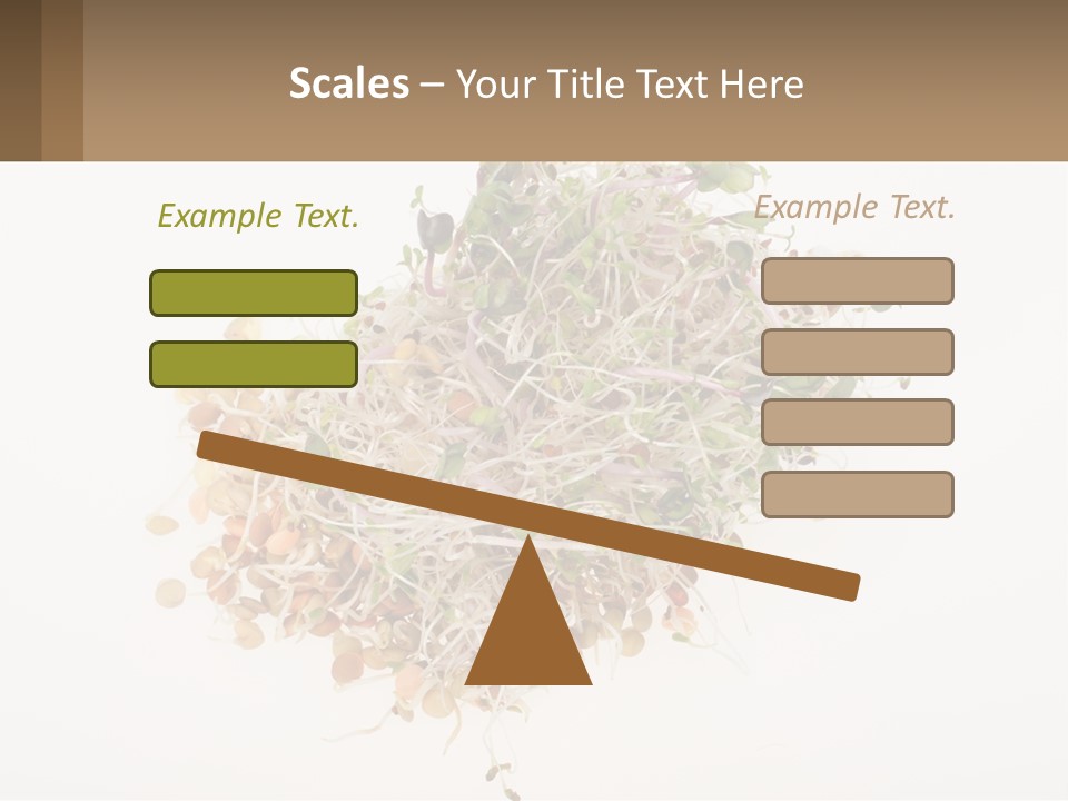 A Pile Of Alfalfa Sprouts On A White Background PowerPoint Template