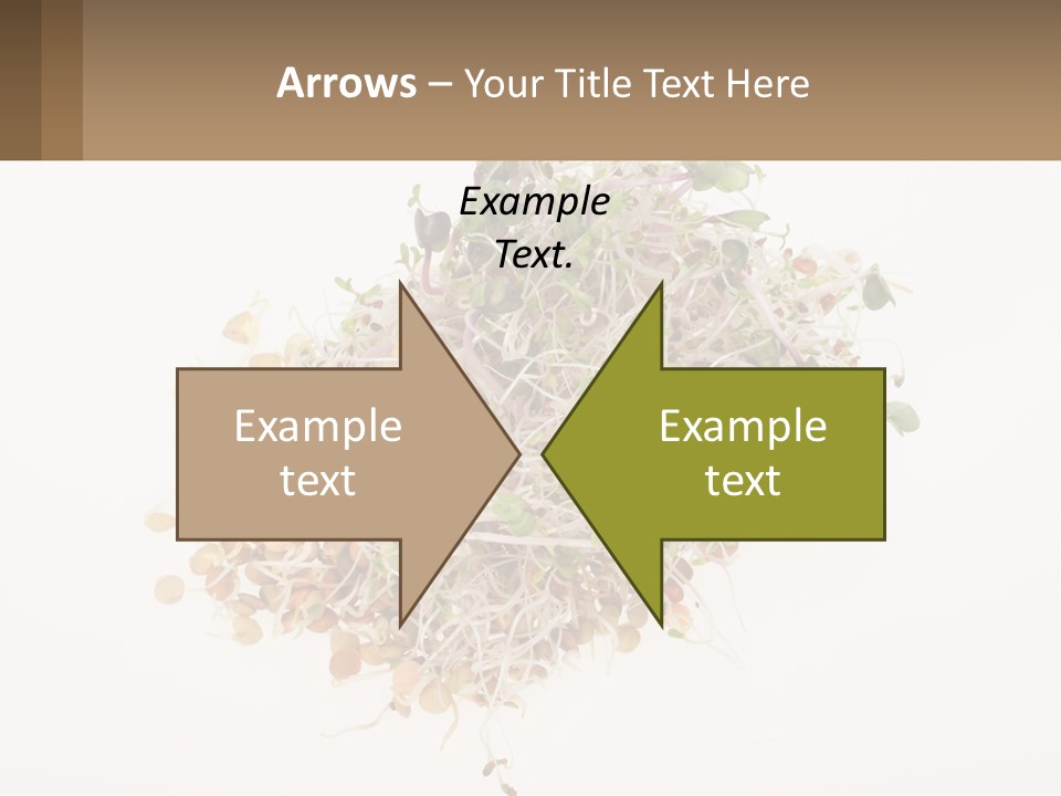 A Pile Of Alfalfa Sprouts On A White Background PowerPoint Template