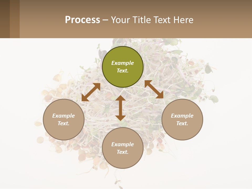 A Pile Of Alfalfa Sprouts On A White Background PowerPoint Template