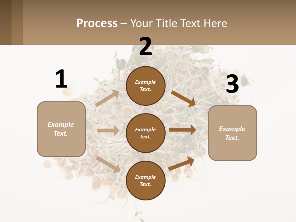 A Pile Of Alfalfa Sprouts On A White Background PowerPoint Template