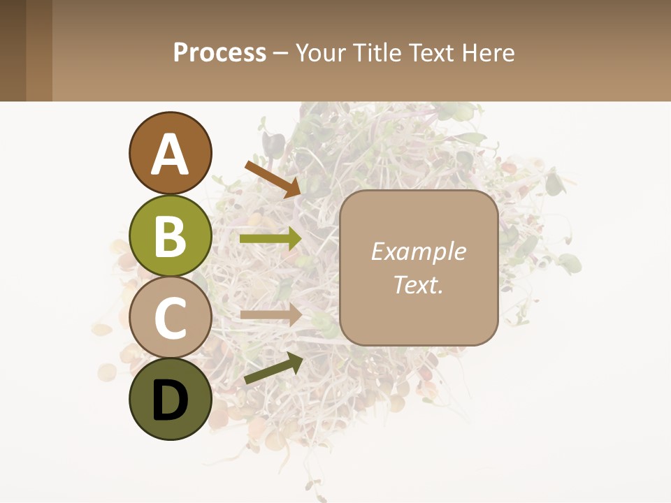 A Pile Of Alfalfa Sprouts On A White Background PowerPoint Template