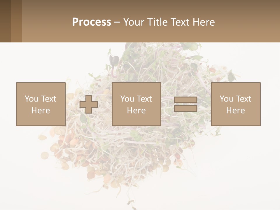 A Pile Of Alfalfa Sprouts On A White Background PowerPoint Template