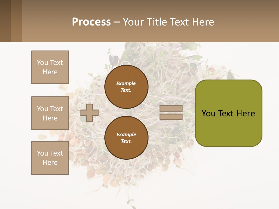 A Pile Of Alfalfa Sprouts On A White Background PowerPoint Template