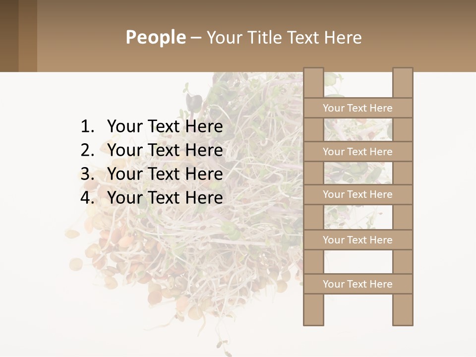 A Pile Of Alfalfa Sprouts On A White Background PowerPoint Template