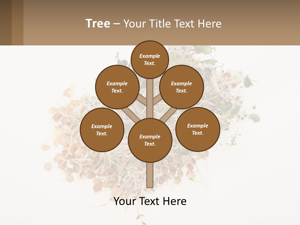 A Pile Of Alfalfa Sprouts On A White Background PowerPoint Template