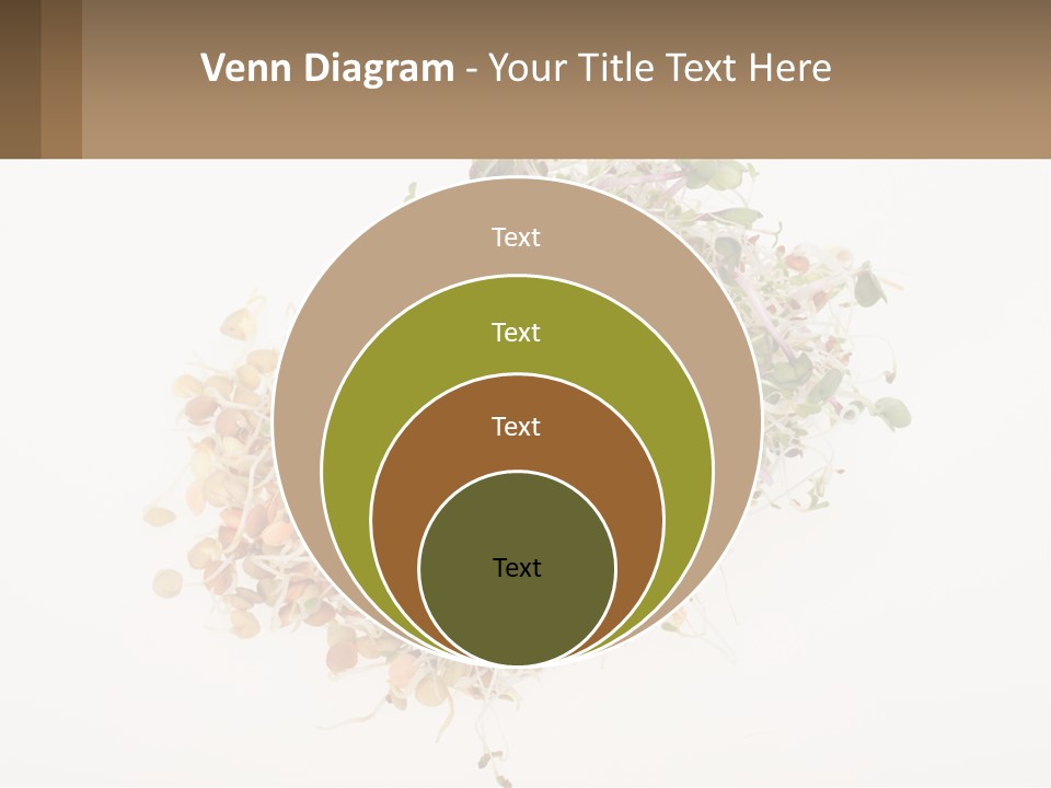 A Pile Of Alfalfa Sprouts On A White Background PowerPoint Template