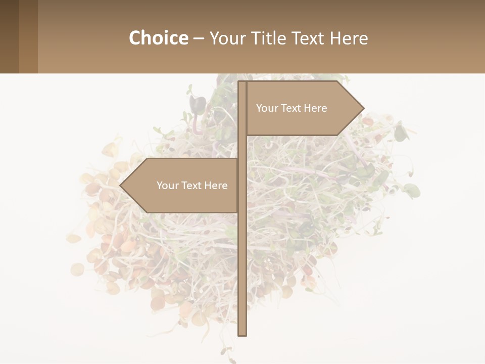 A Pile Of Alfalfa Sprouts On A White Background PowerPoint Template