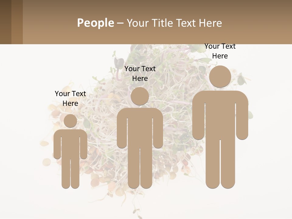 A Pile Of Alfalfa Sprouts On A White Background PowerPoint Template