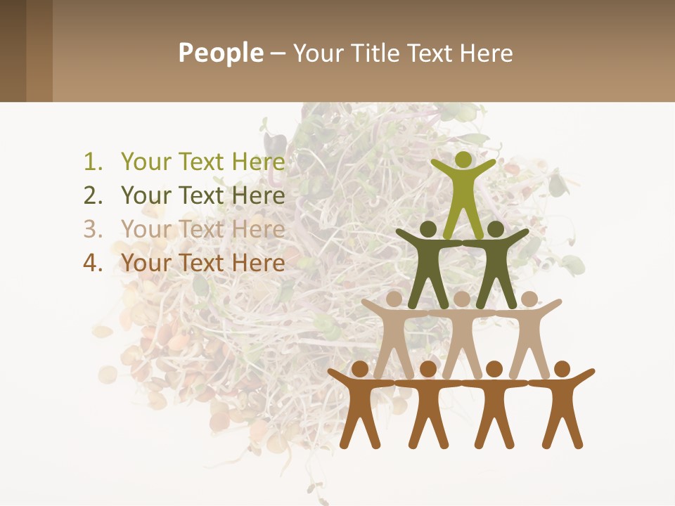 A Pile Of Alfalfa Sprouts On A White Background PowerPoint Template