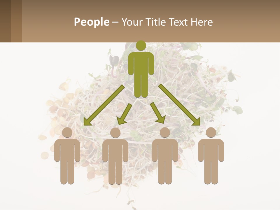 A Pile Of Alfalfa Sprouts On A White Background PowerPoint Template