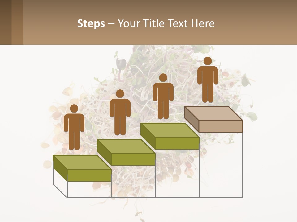 A Pile Of Alfalfa Sprouts On A White Background PowerPoint Template