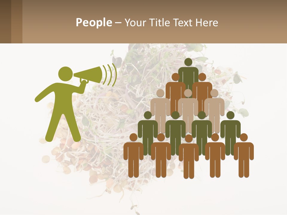 A Pile Of Alfalfa Sprouts On A White Background PowerPoint Template