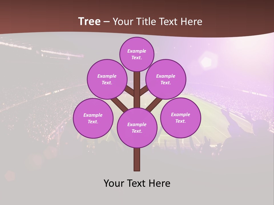 A Soccer Stadium With Fans In The Stands PowerPoint Template