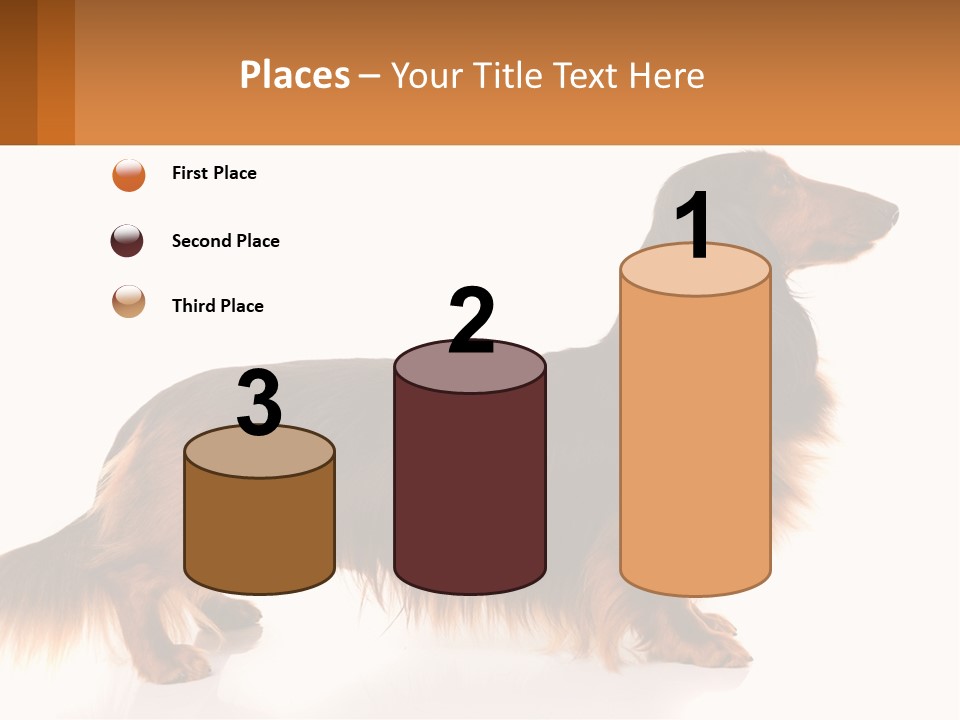 A Brown And Black Dog Standing Next To A Sign PowerPoint Template