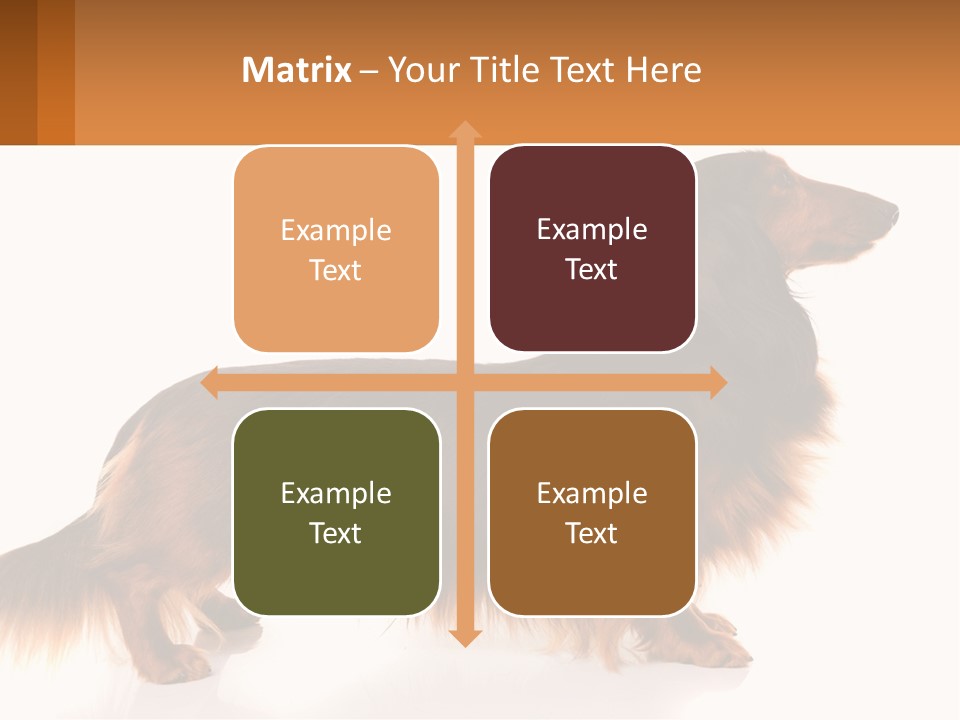 A Brown And Black Dog Standing Next To A Sign PowerPoint Template