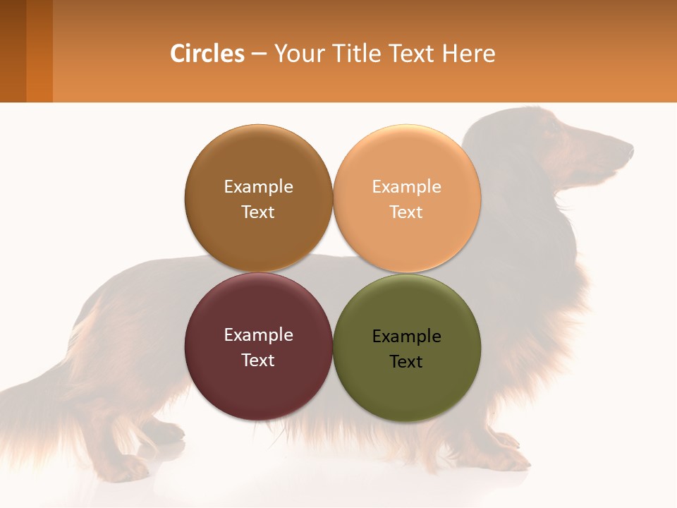 A Brown And Black Dog Standing Next To A Sign PowerPoint Template