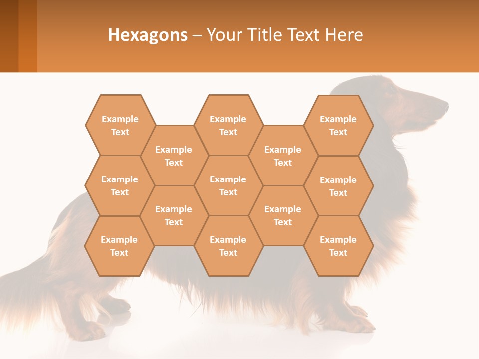 A Brown And Black Dog Standing Next To A Sign PowerPoint Template