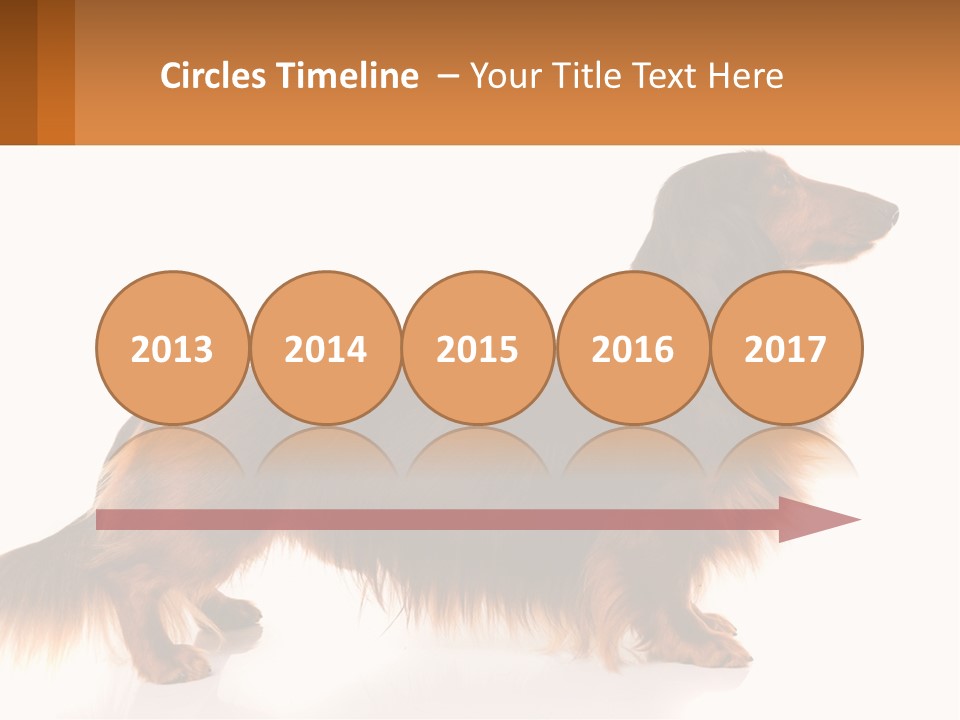 A Brown And Black Dog Standing Next To A Sign PowerPoint Template