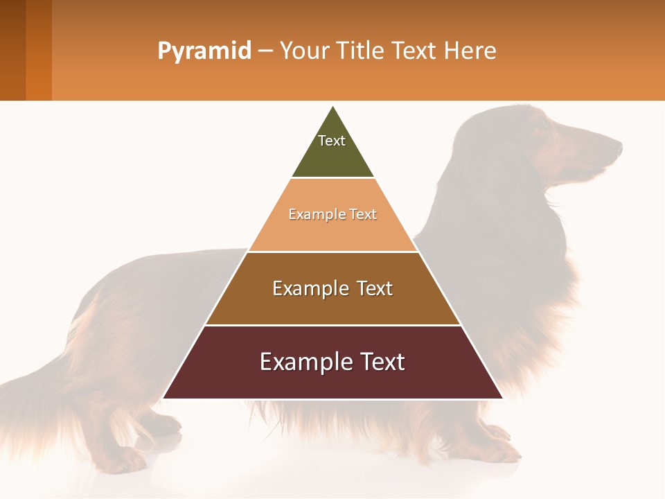 A Brown And Black Dog Standing Next To A Sign PowerPoint Template