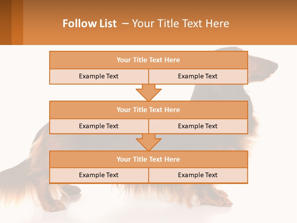 A Brown And Black Dog Standing Next To A Sign PowerPoint Template