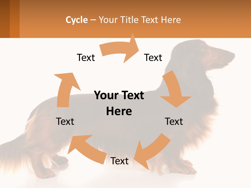 A Brown And Black Dog Standing Next To A Sign PowerPoint Template