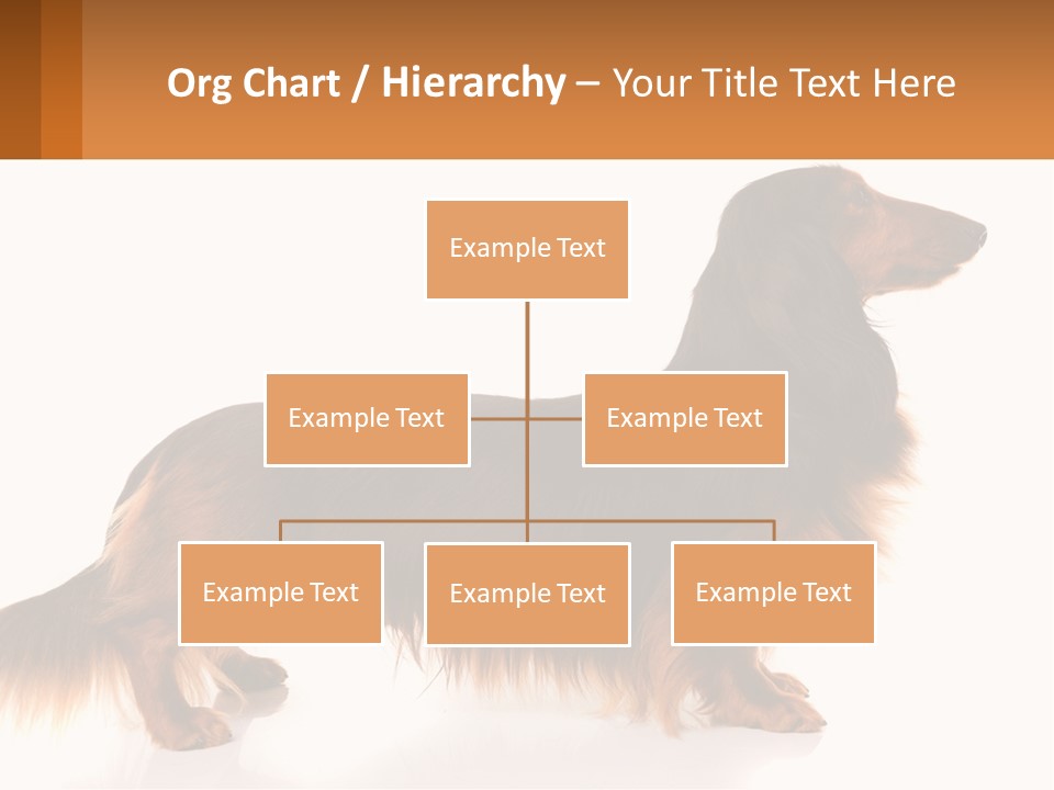 A Brown And Black Dog Standing Next To A Sign PowerPoint Template