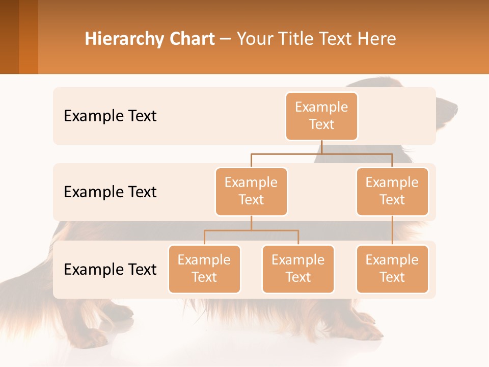 A Brown And Black Dog Standing Next To A Sign PowerPoint Template