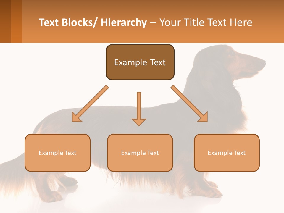 A Brown And Black Dog Standing Next To A Sign PowerPoint Template