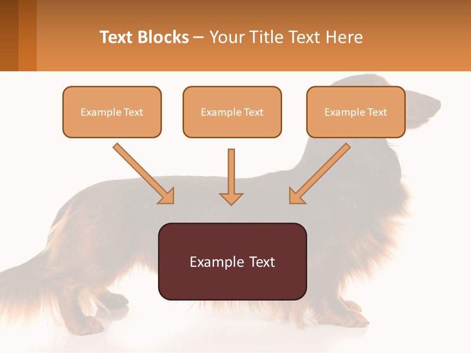 A Brown And Black Dog Standing Next To A Sign PowerPoint Template