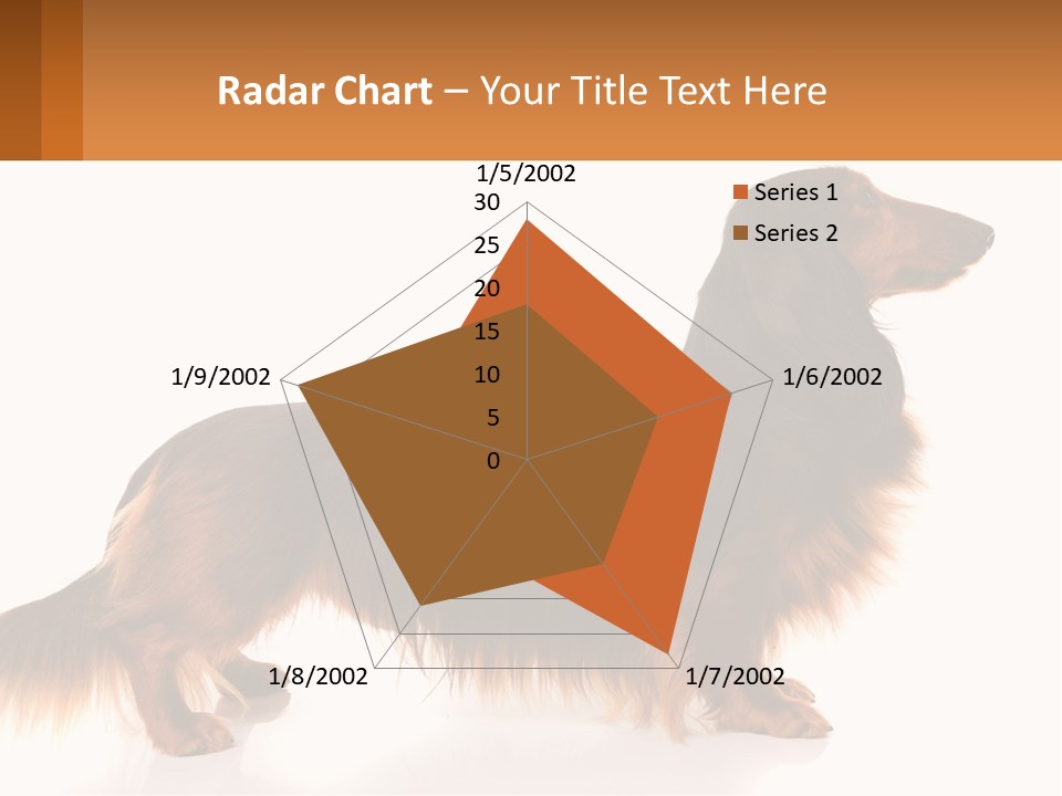 A Brown And Black Dog Standing Next To A Sign PowerPoint Template