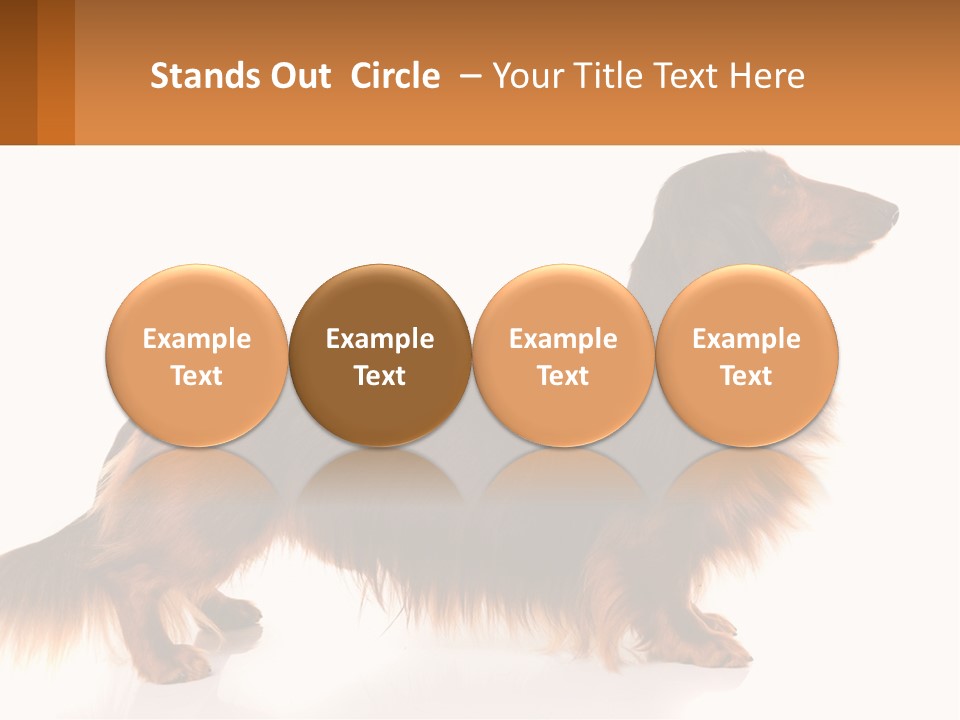 A Brown And Black Dog Standing Next To A Sign PowerPoint Template