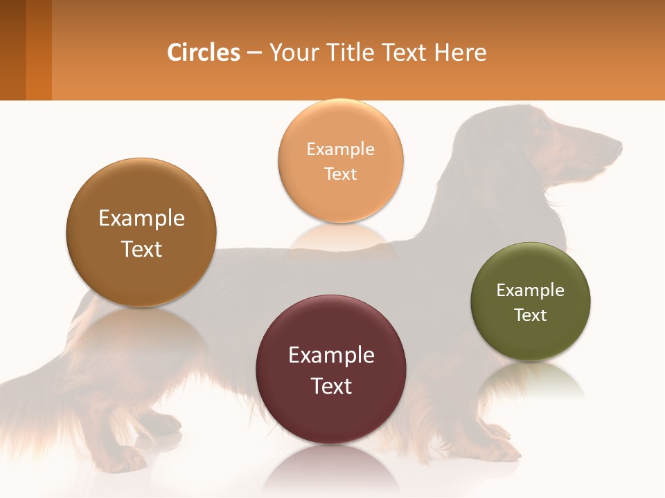 A Brown And Black Dog Standing Next To A Sign PowerPoint Template