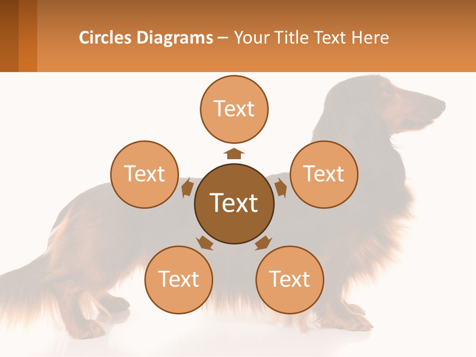 A Brown And Black Dog Standing Next To A Sign PowerPoint Template