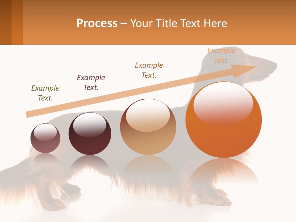 A Brown And Black Dog Standing Next To A Sign PowerPoint Template