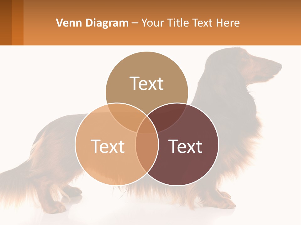 A Brown And Black Dog Standing Next To A Sign PowerPoint Template