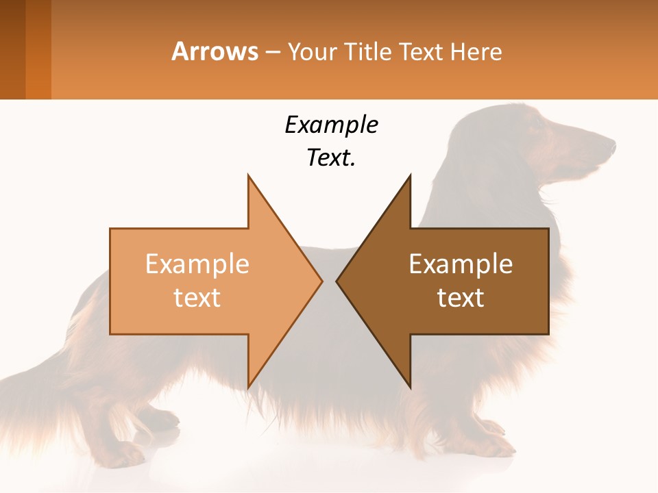 A Brown And Black Dog Standing Next To A Sign PowerPoint Template