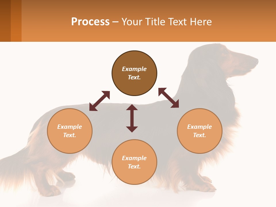 A Brown And Black Dog Standing Next To A Sign PowerPoint Template